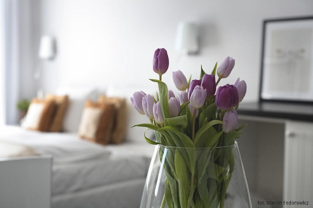 Hotel Amber Suite & Spa - Enklawa Dla Doroslych (Adults Only) Międzywodzie Εξωτερικό φωτογραφία